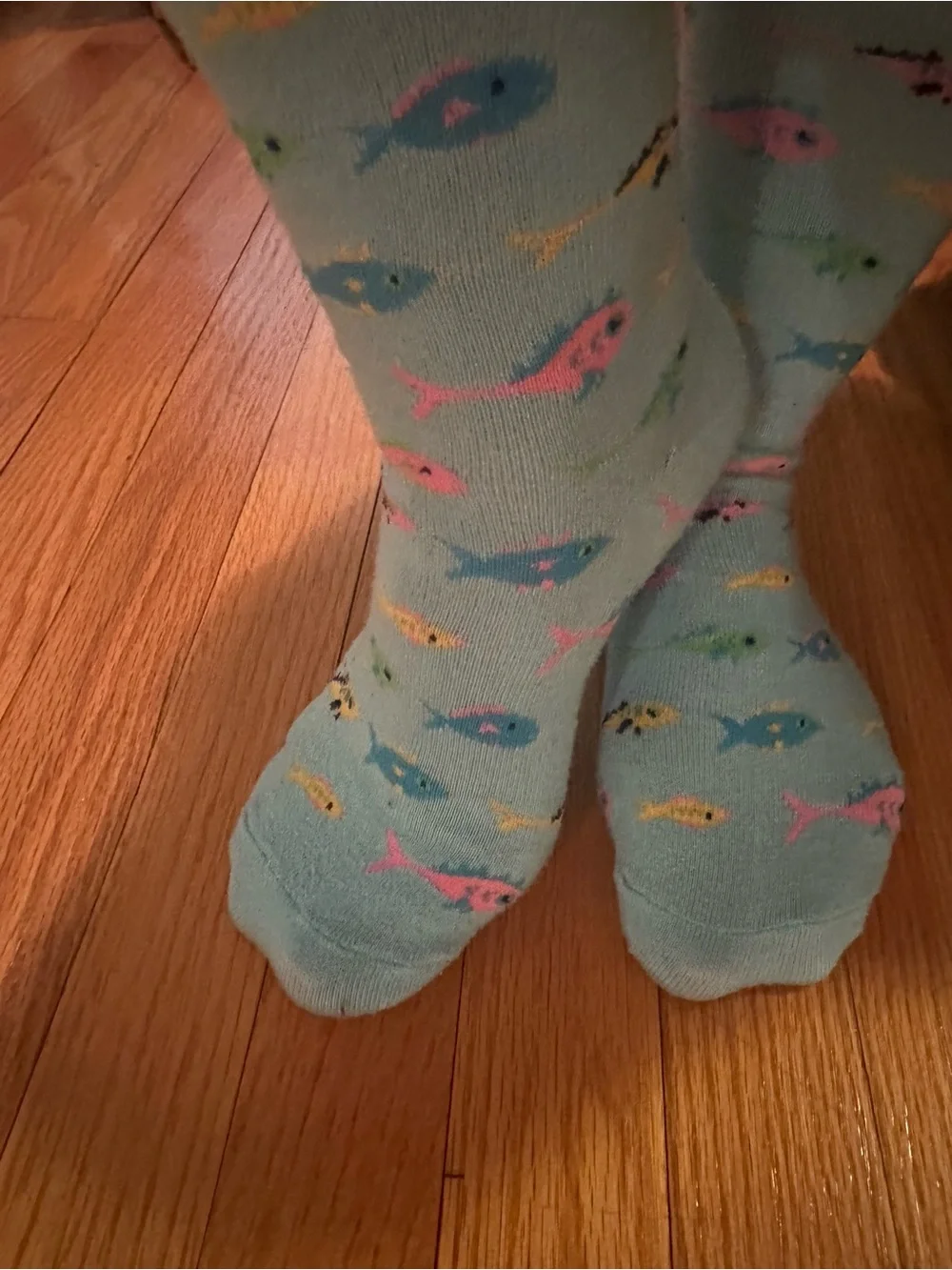 Light Blue Fish Pattern Aquarium Women’s Socks - Casual Pet-Themed Wear
